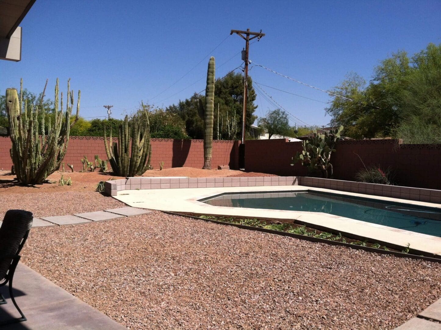 Backyard with a swimming pool, desert landscaping, various cacti, and a brick wall under a clear blue sky.