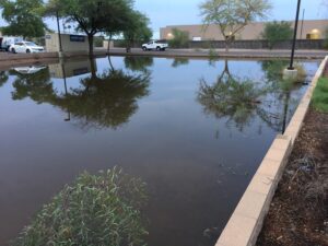 A flooded courtyard with reflections of trees and a building.